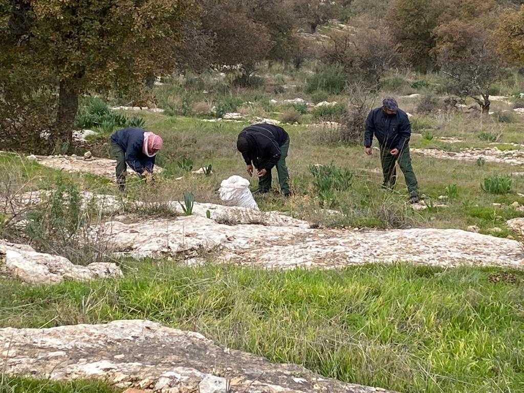 مشروع لزراعة 120 ألف شجرة بلوط في محمية اليرموك