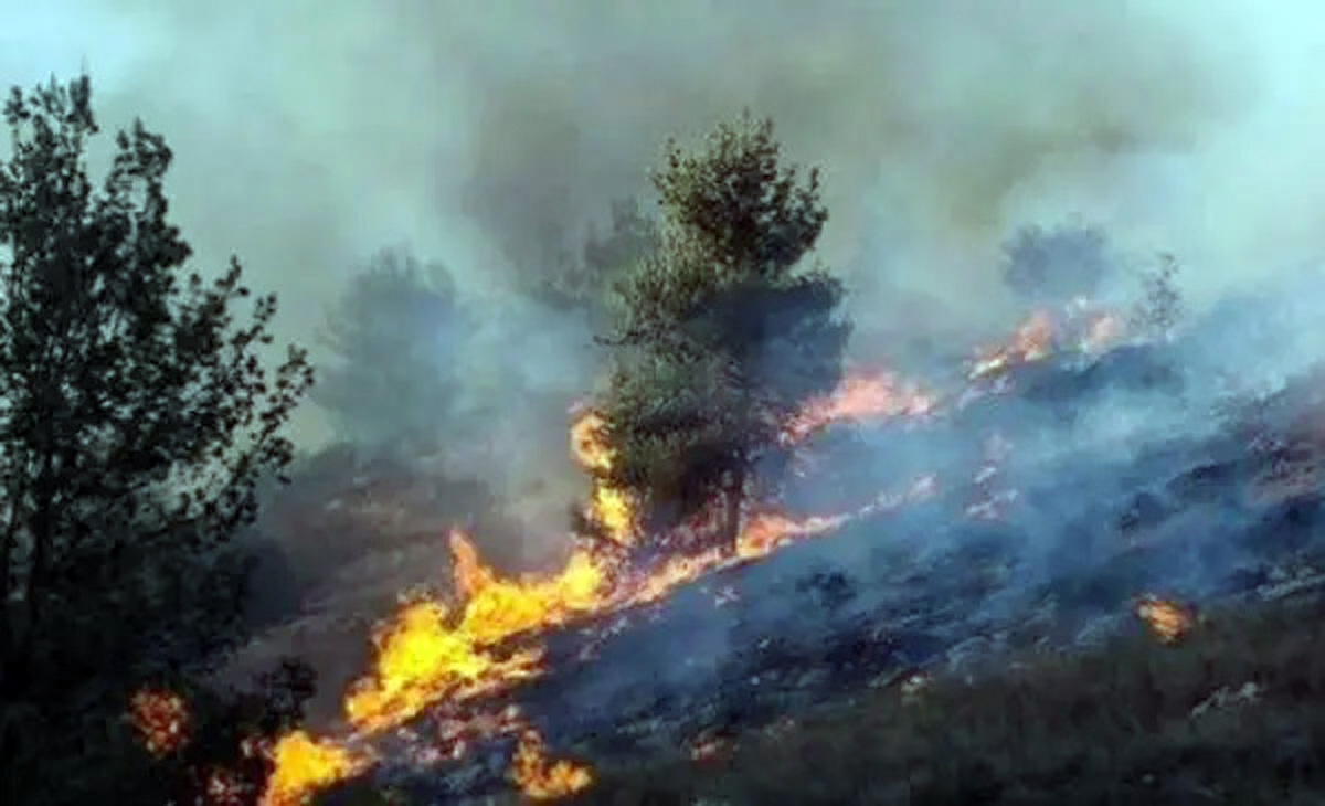 مستوطنون يحرقون محاصيل زراعية في ترمسعيا شمال رام الله