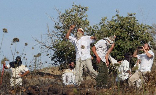 مستوطنون يعتدون على أملاك الفلسطينيين في أبو غوش بالقدس