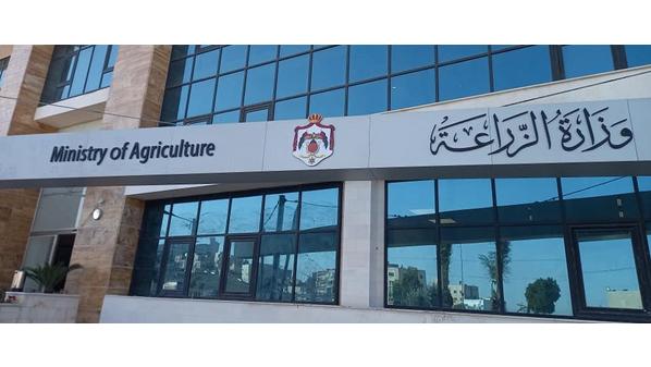 بدء استقبال طلبات القروض لمزارعي الخضار وتمكين المرأة الريفية