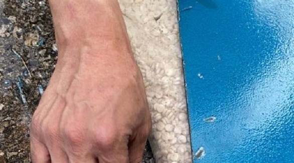 ضبط 5 ملايين حبة كبتاغون في مرفأ بيروت