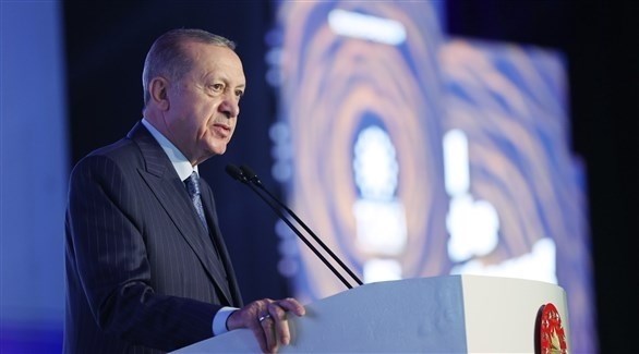 أردوغان: تركيا وروسيا ستقدمان حبوباً إلى إفريقيا مجاناً
