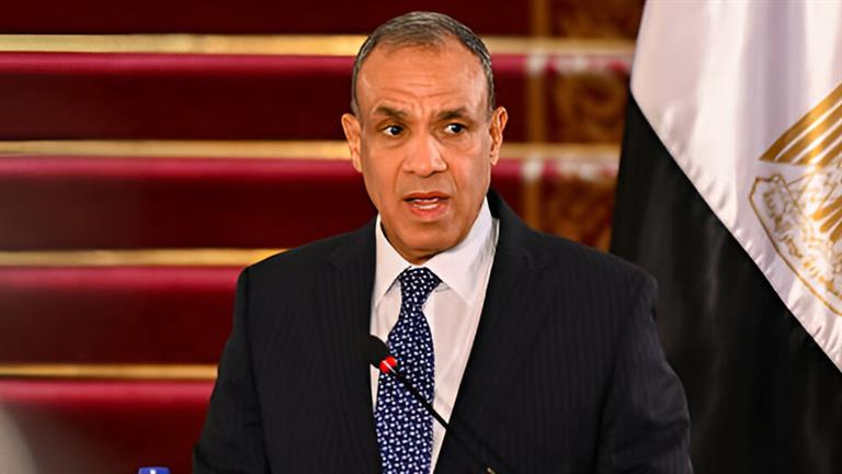 وزير الخارجية المصري يؤكد ضرورة بدء عملية التعافي المبكر لقطاع غزة