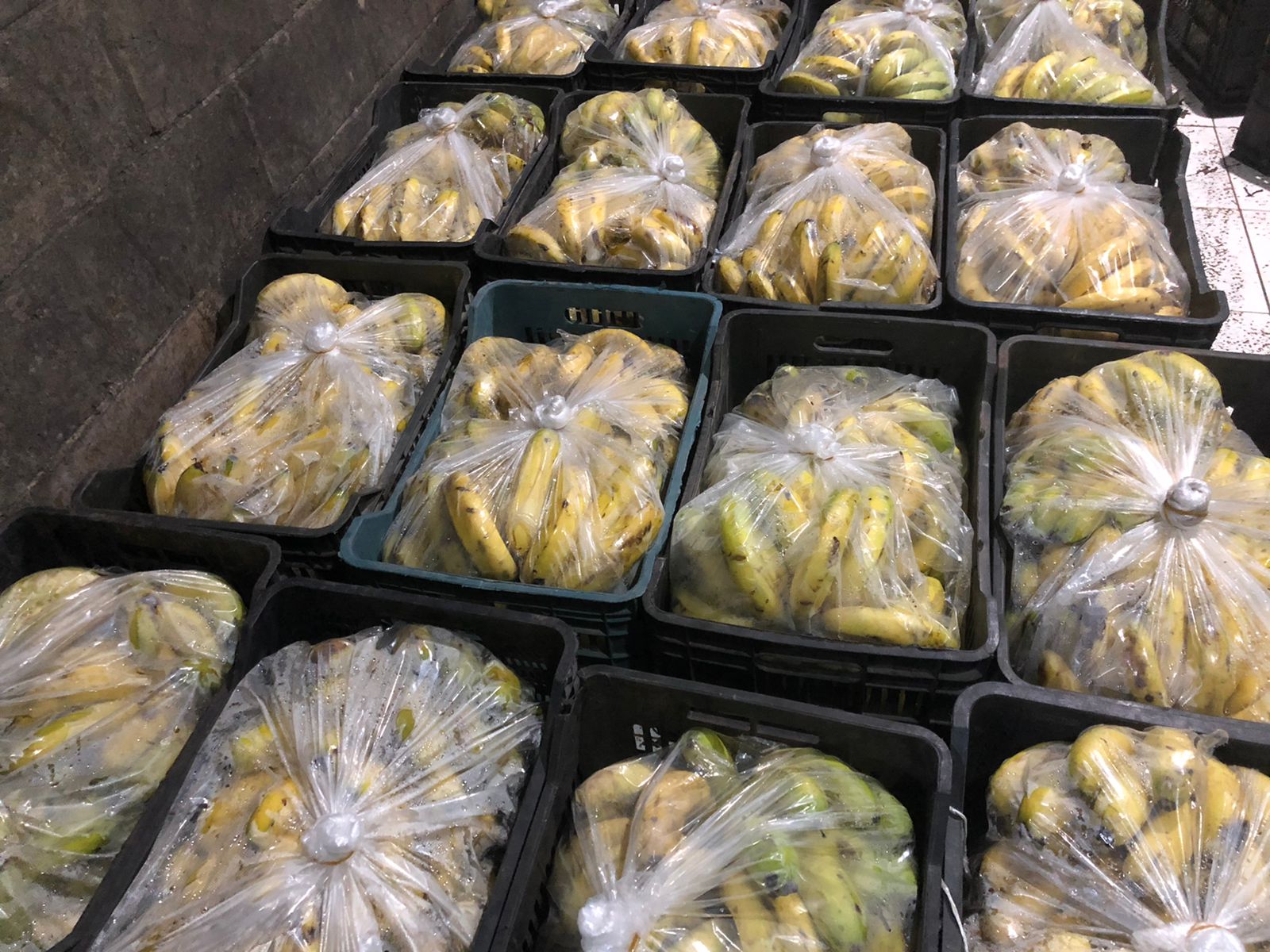 مزارعو الموز يشكون اغراق السوق بالمستورد