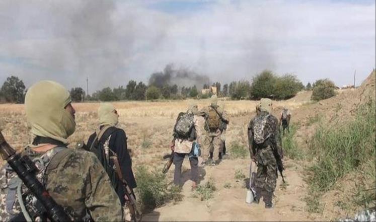 خبير عسكري: “داعش” يبدي شراسة في القتال بمناطق “دير الزور” لتلك الأسباب