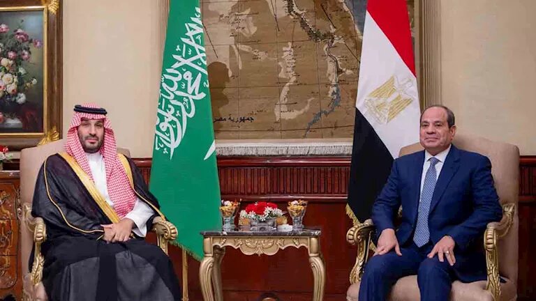 رسالة مصرية سعودية بشأن هرمز وباب المندب
