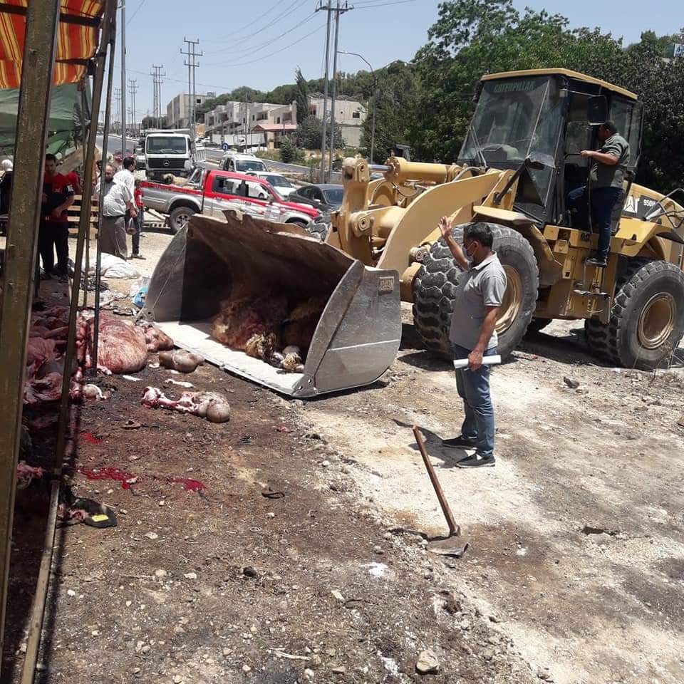 عجلون: جولات مكثفة على مواقع بيع الأضاحي