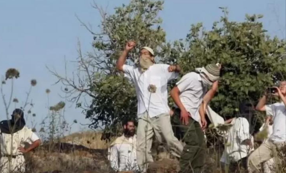 مستوطنون ينفذون 144 اعتداء جنوب نابلس الليلة الماضية