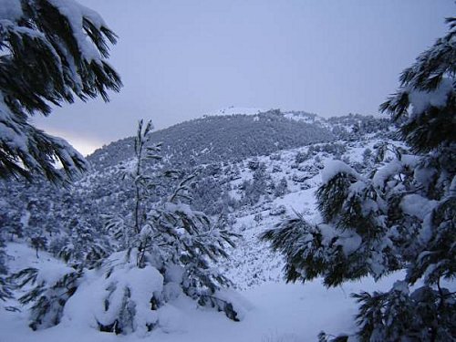 تعطيل جميع الدوائر الرسمية الخميس بسبب الاحوال الجوية