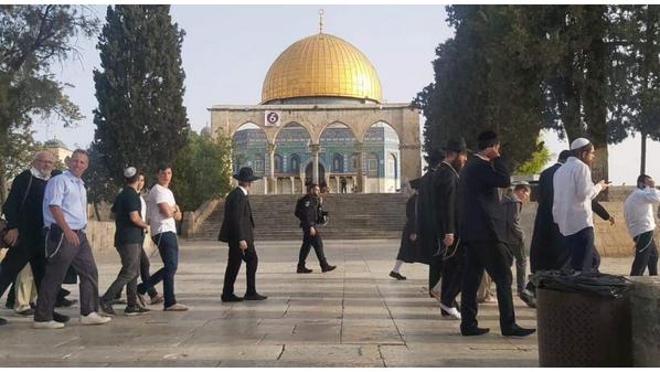 أكثر من 500 مستوطن يقتحمون المسجد الأقصى بحراسة شرطة الاحتلال