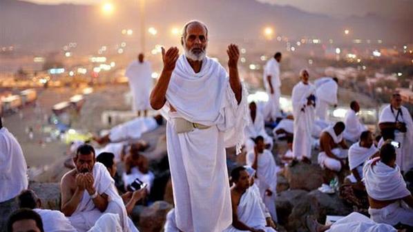 تفويج الحجاج الأردنيين من “آبار علي” في المدينة المنورة الى مكة المكرمة