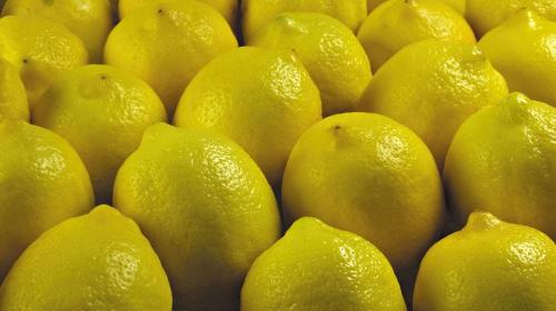 السبب الرئيسي جراء ارتفاع اسعار الليمون ” سياسة وزارة الزراعة ”