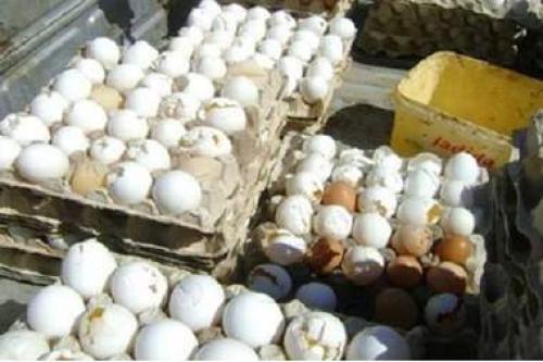 ضبط كميات كبيرة من البيض الفاسد قبل توزيعها بأسواق مدينة اربد