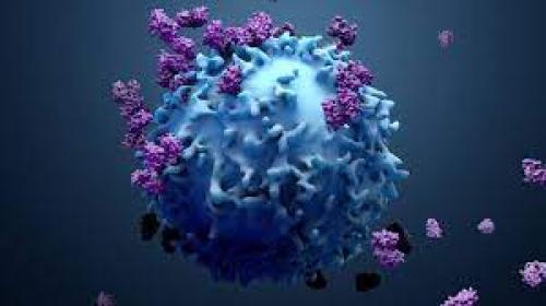 متحوّر “أوميكرون” يعيش على الأسطح