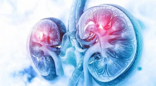 عرضت بيع كلية طفلة مقابل 20 ألف دولار