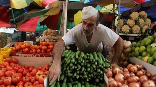 زوجي يخسر في بيع الفواكه والخضار