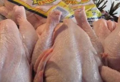 شكاوى من نقص “الدجاج المبرد” في الأسواق