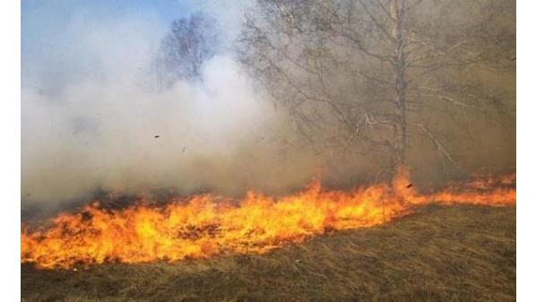 التعامل مع 182 حريق أعشاب جافة خلال 24 ساعة