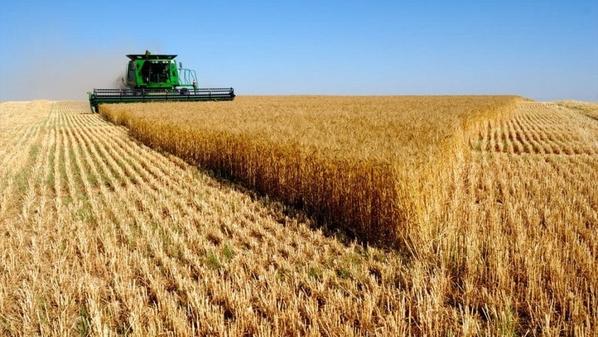 رئيس الإتحاد الأفريقي يحذر: سنواجه مجاعة خطيرة إذا لم تستأنف صادرات القمح الأوكرانية